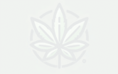 Loading Icon